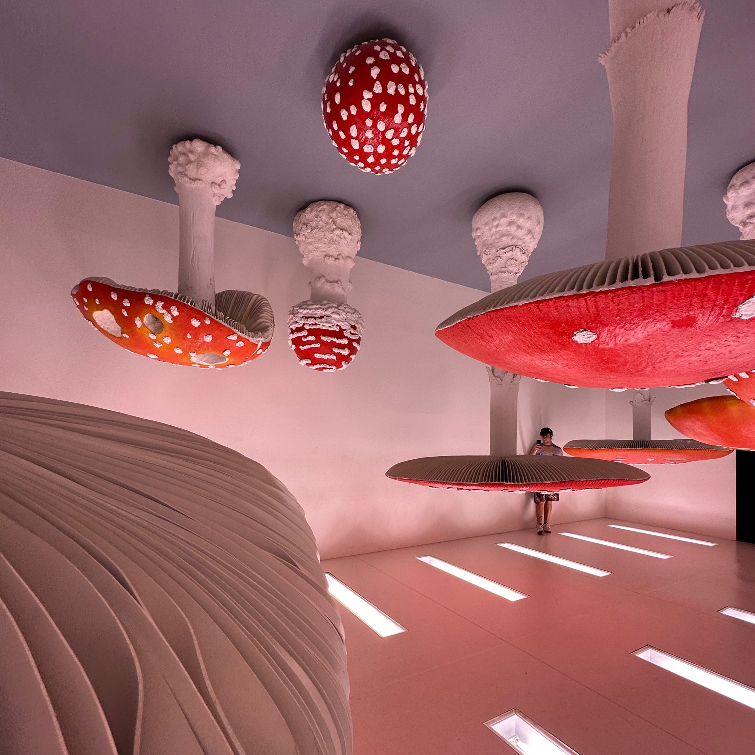 „ATLAS" at Fondazione Prada