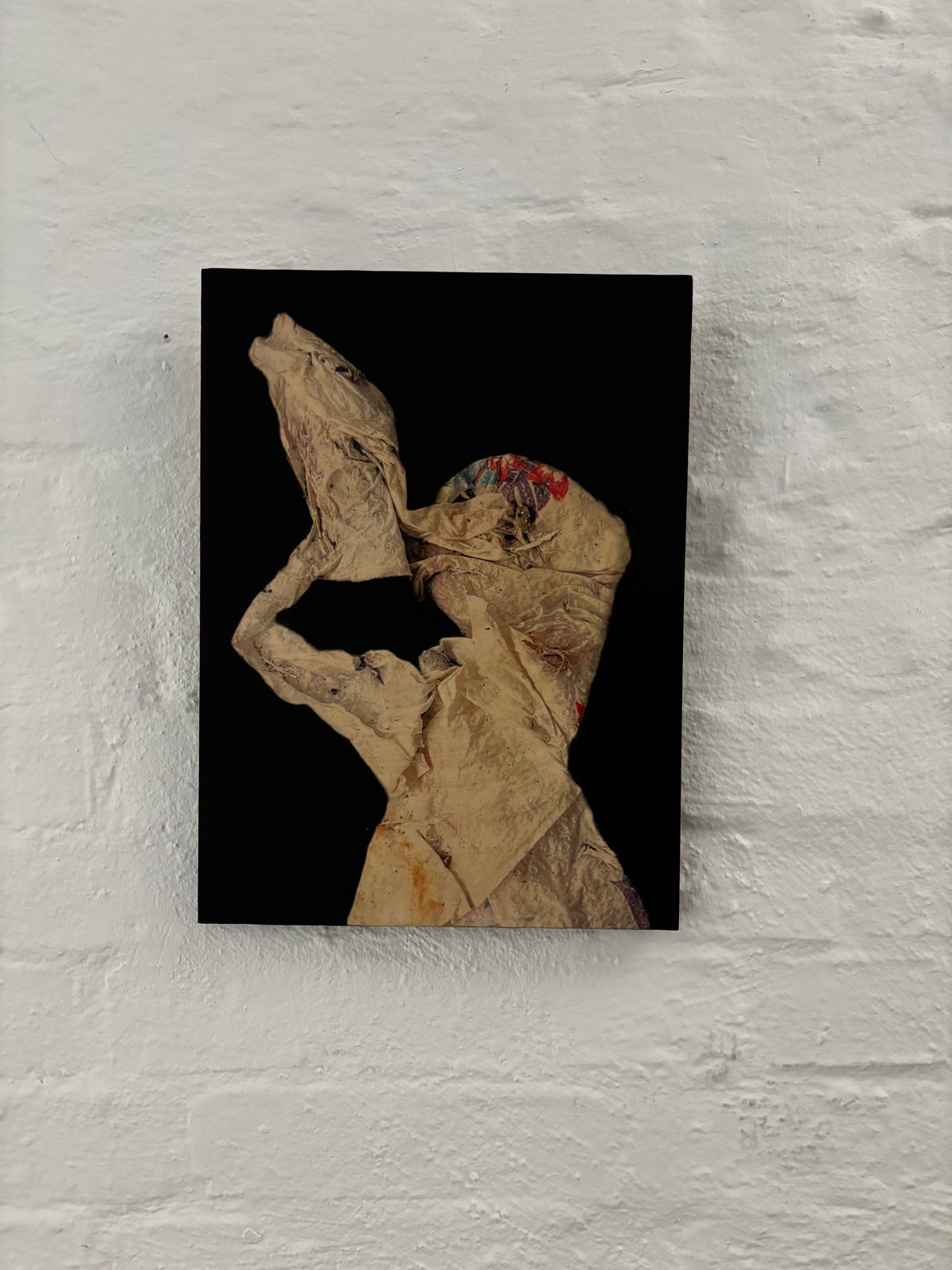 Dancing With The Fish