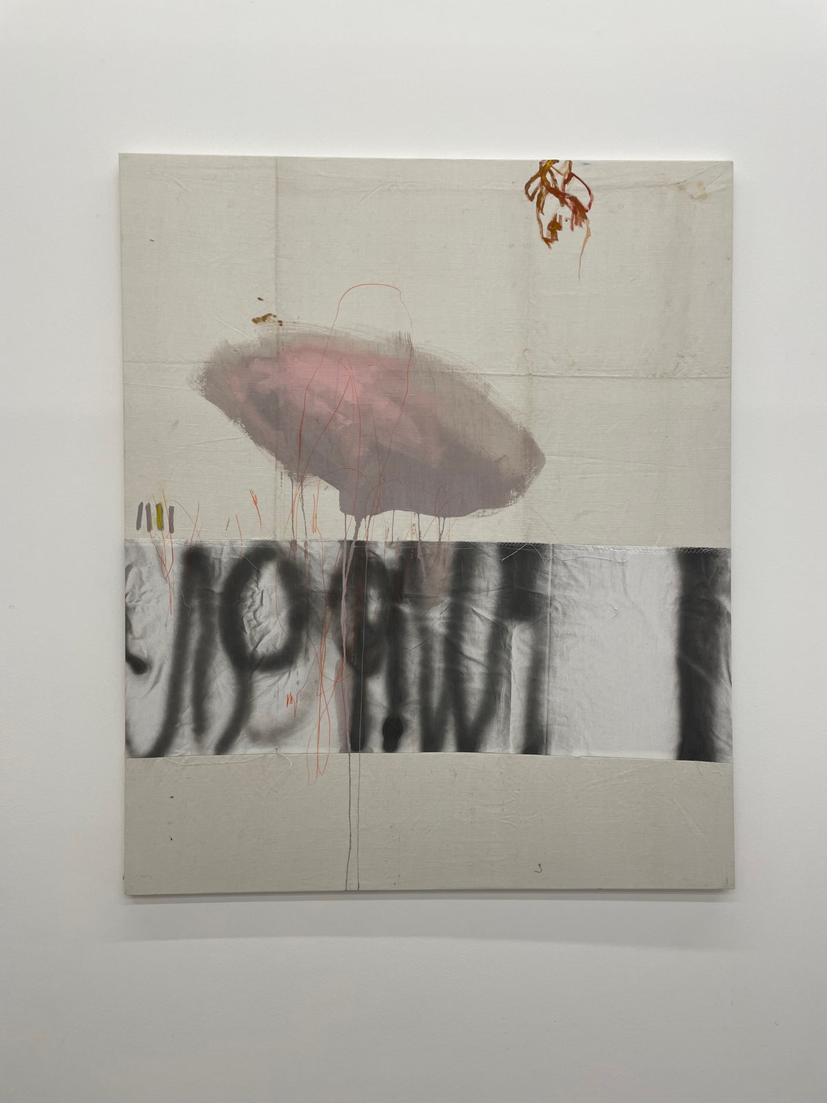 Ungewöhnliche Begegnung