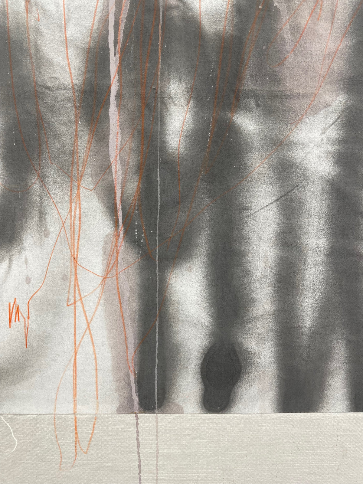 Ungewöhnliche Begegnung