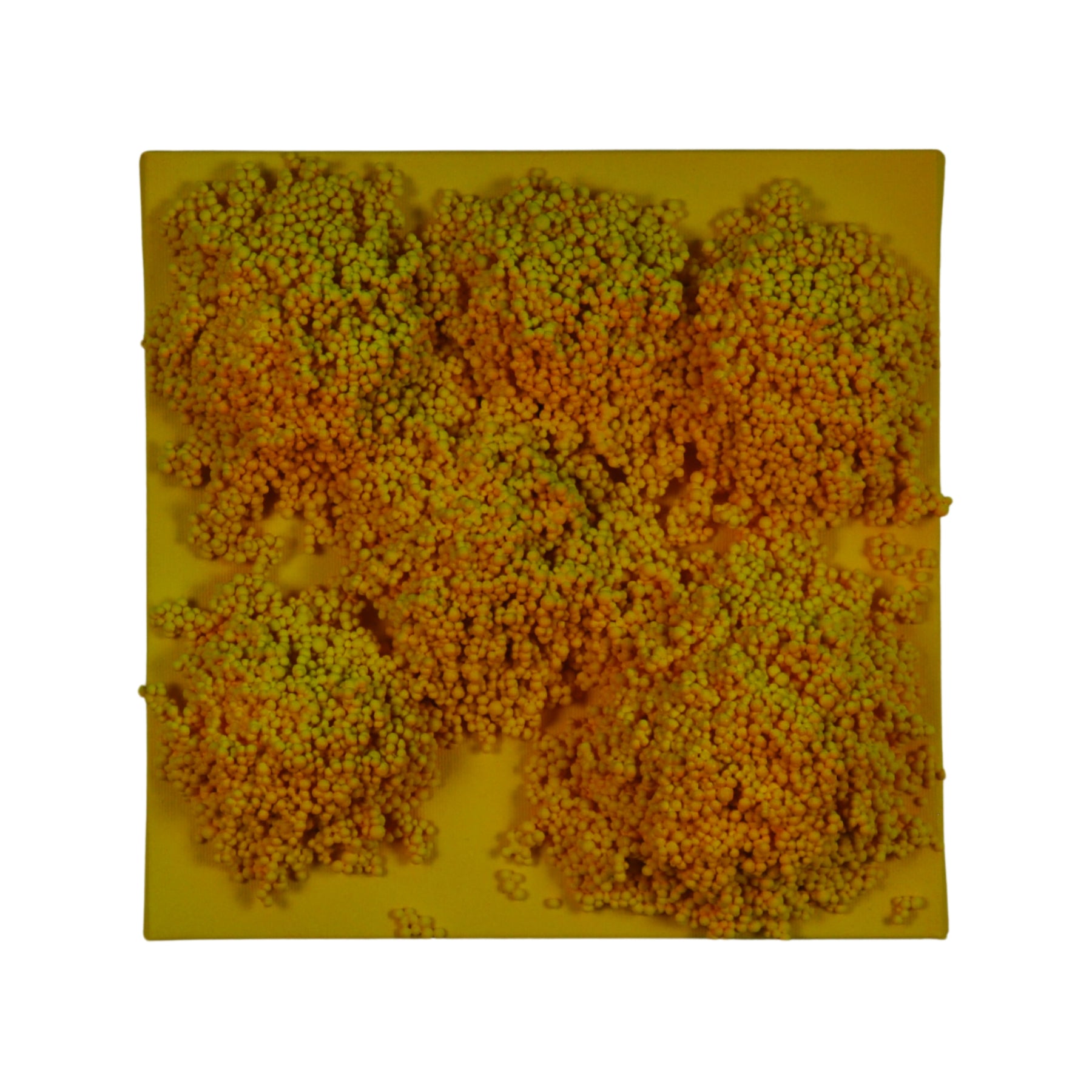 Square #2