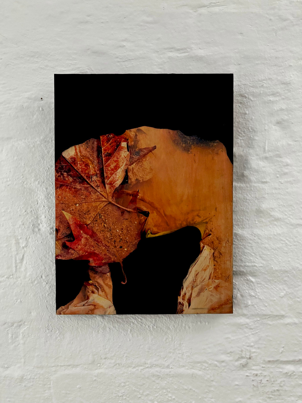 This World Could’nt See Us