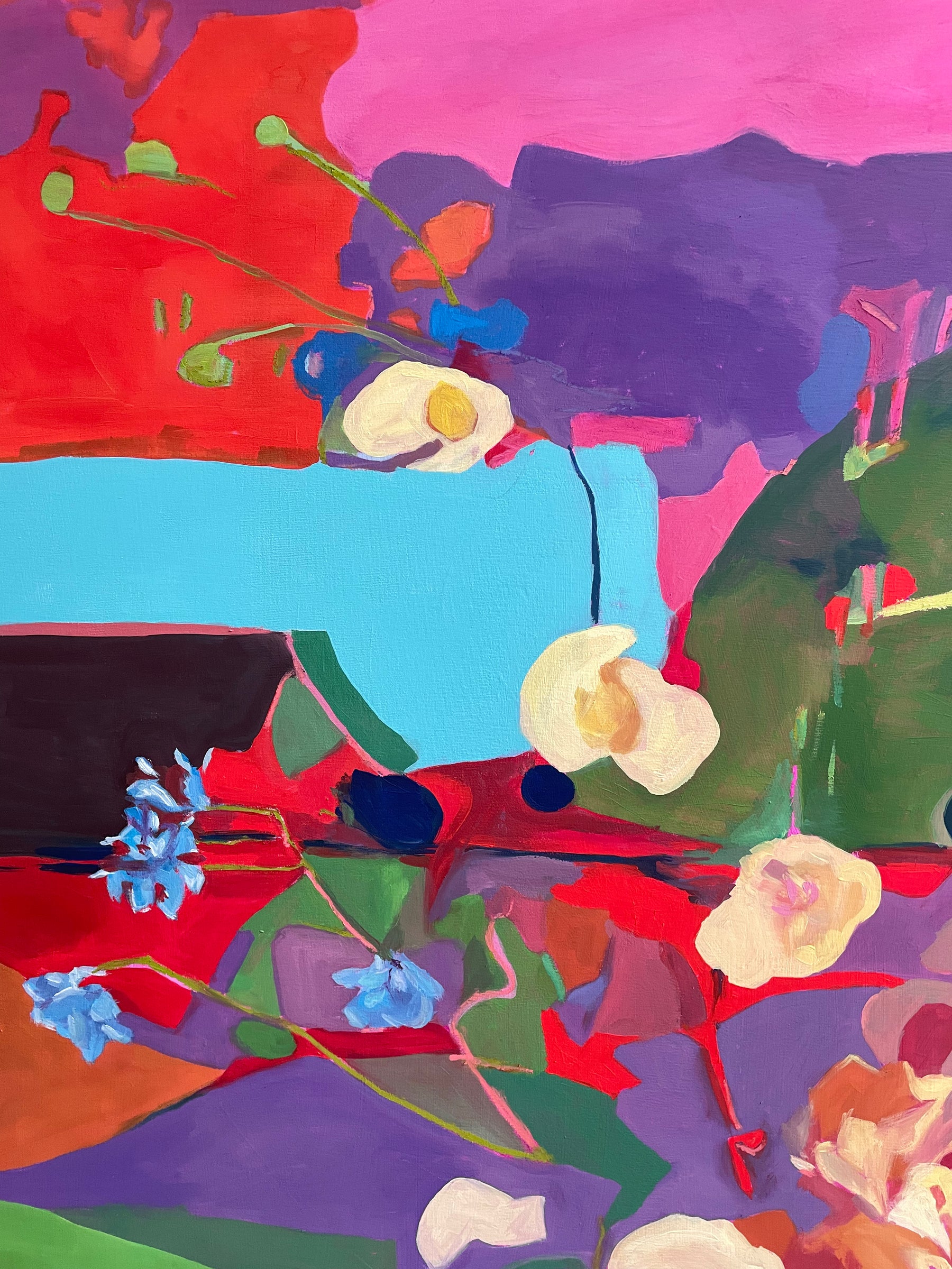 PINK SUNSET ABOVE THE HILL, ZAMOŚĆ