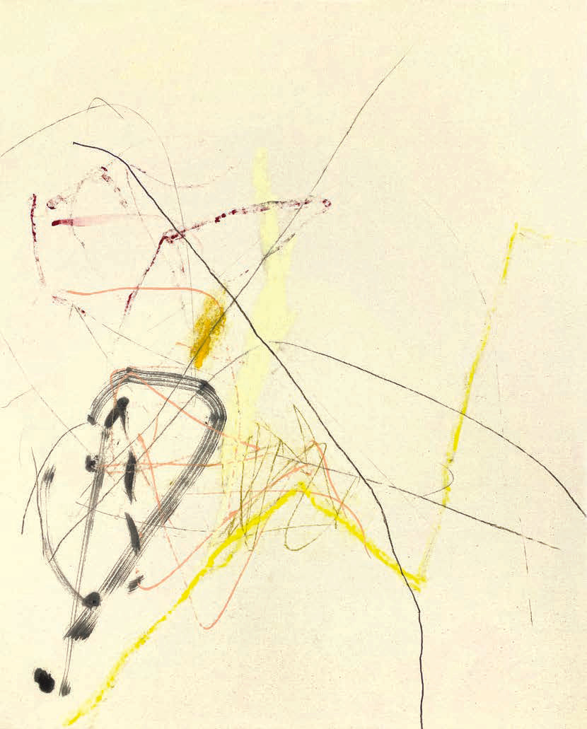 OCCURRENCE 13
