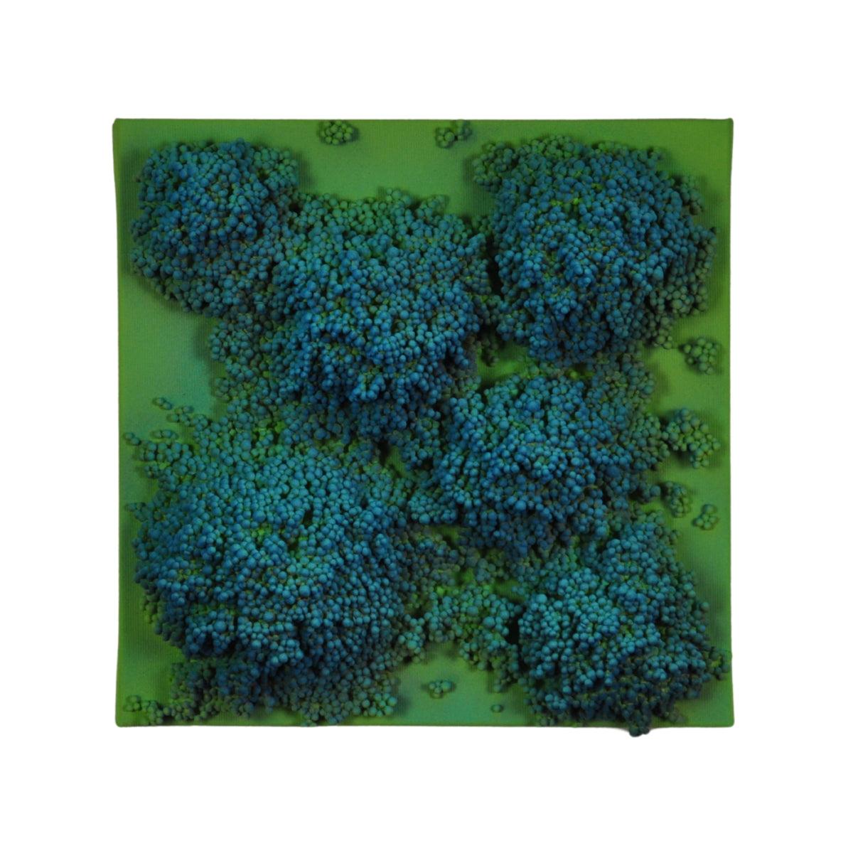 Square #1