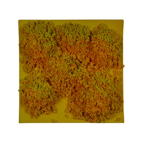 Square #2