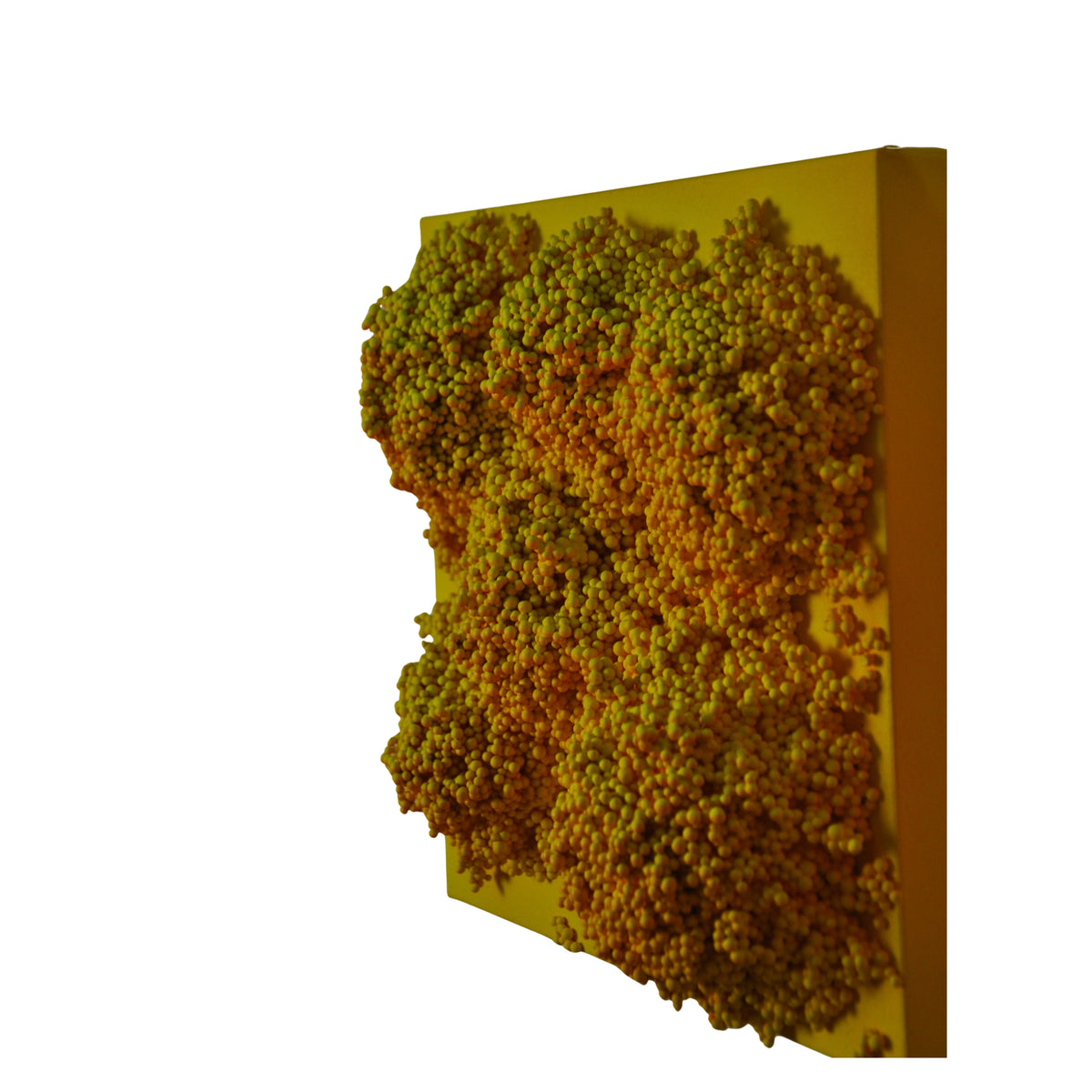 Square #2
