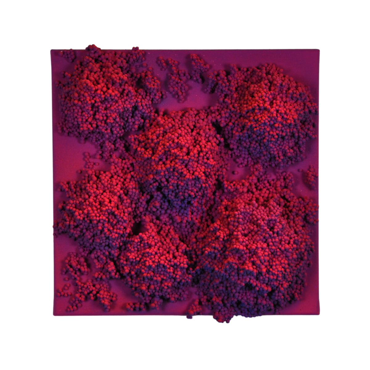 Square #3