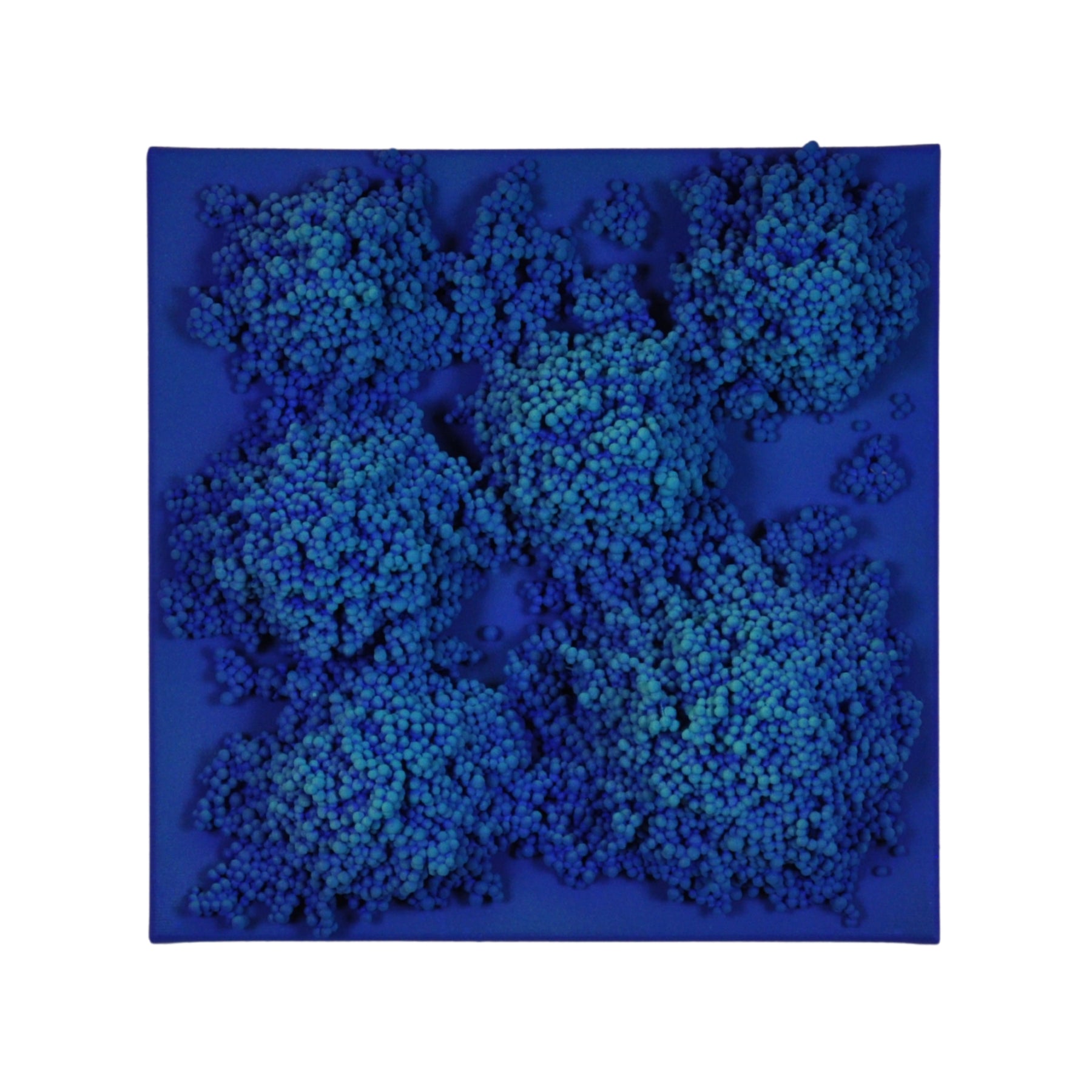 Square #5