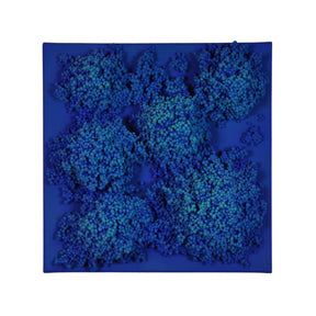Square #5