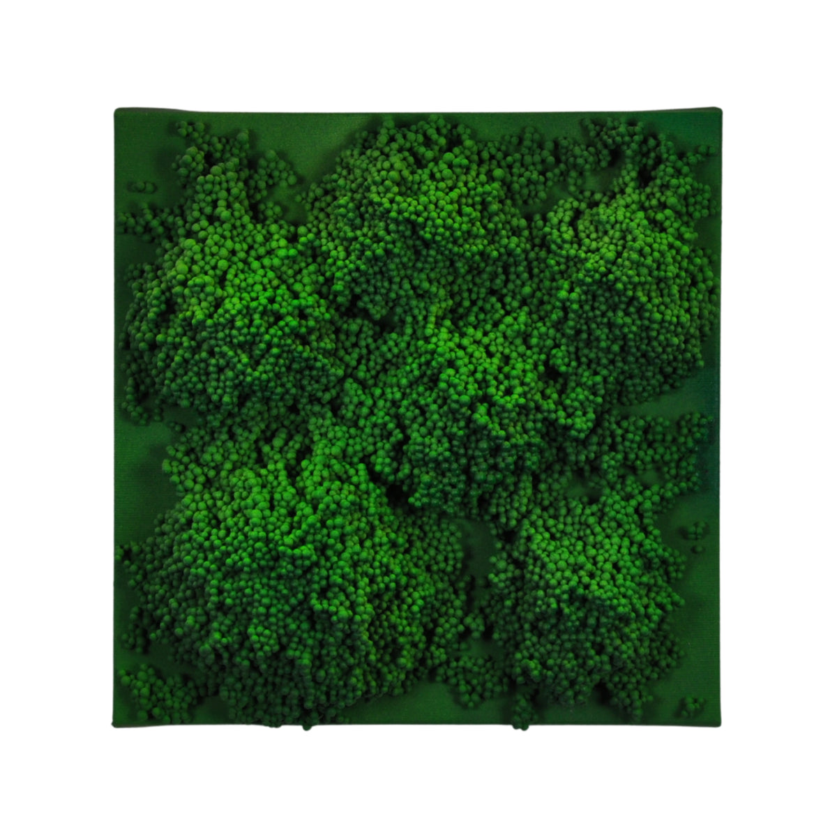 Square #6