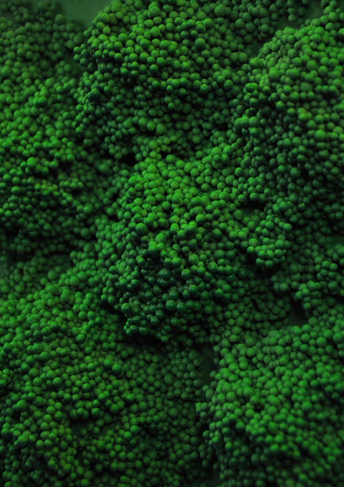 Square #6