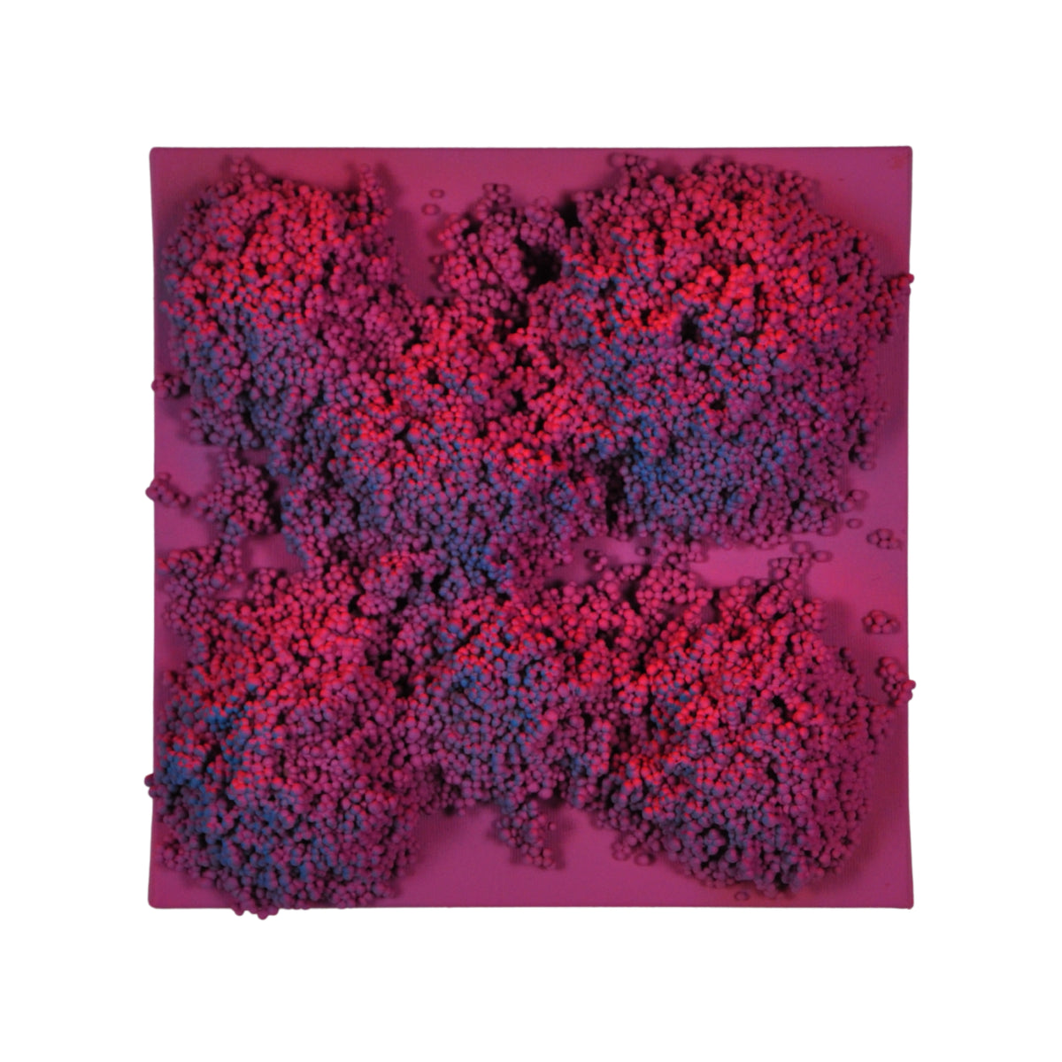Square #7