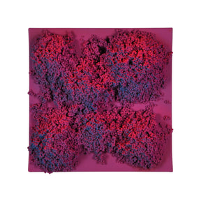 Square #7