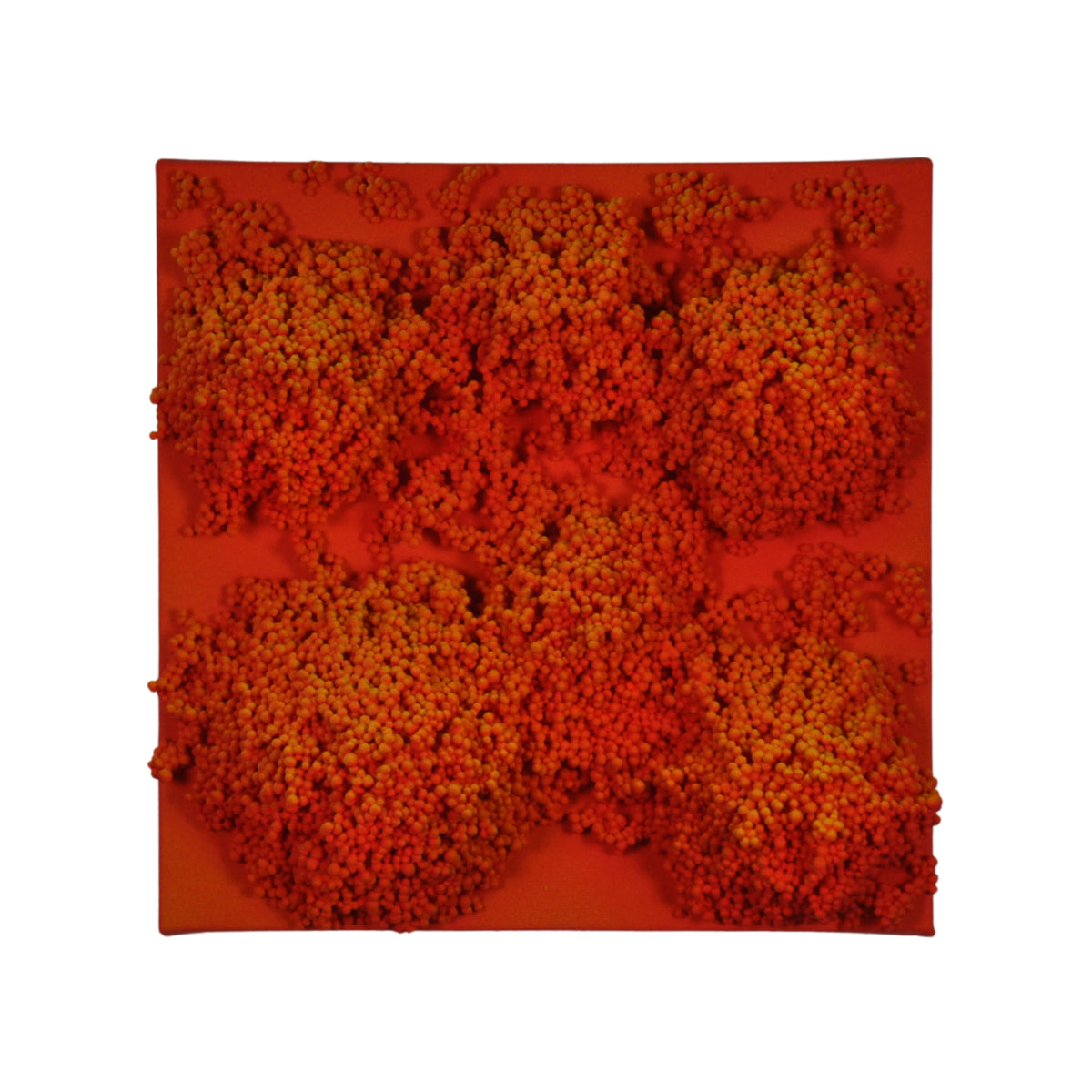 Square #8