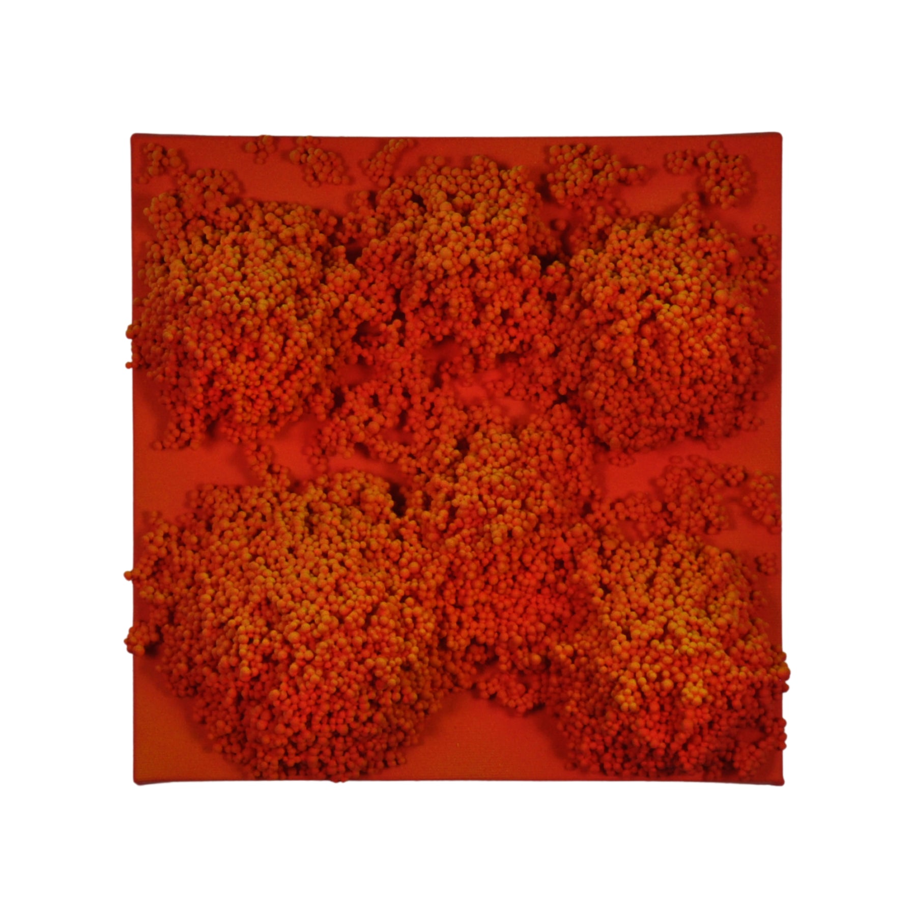 Square #8