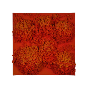 Square #8