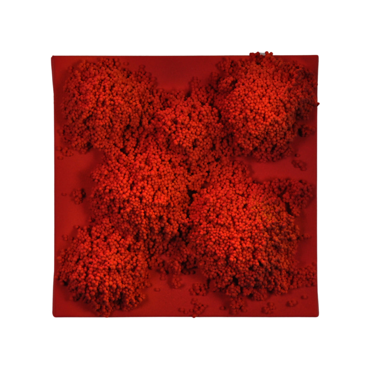 Square #9