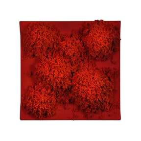 Square #9